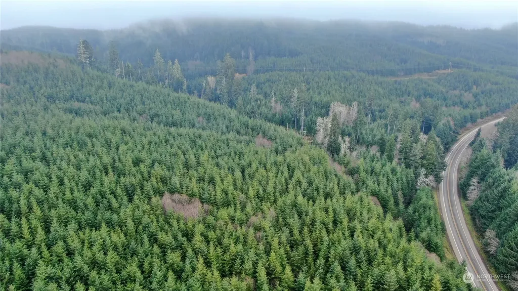 0 State Route 107 Cosmopolis WA 98537