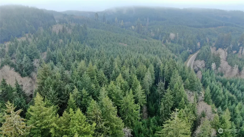 0 State Route 107 Cosmopolis WA 98537