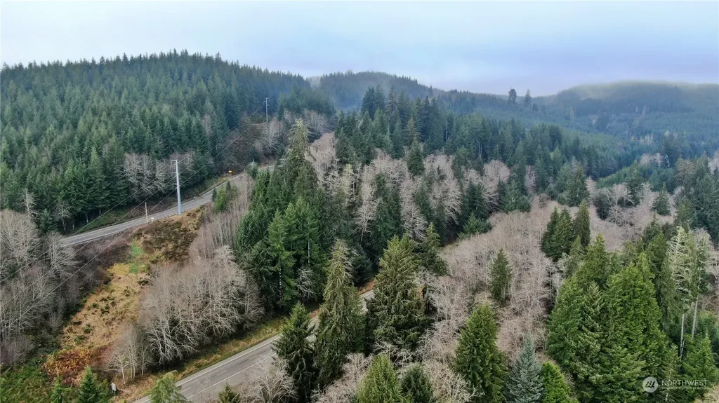 0 State Route 107 Cosmopolis WA 98537