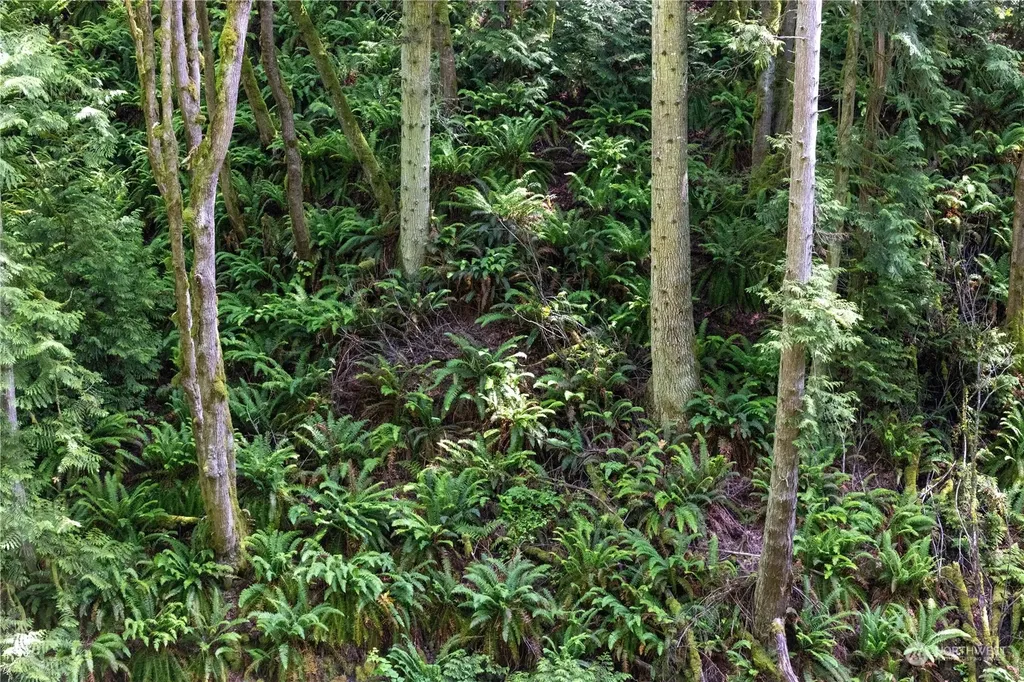 2190 Chuckanut Drive Bellingham WA 98232