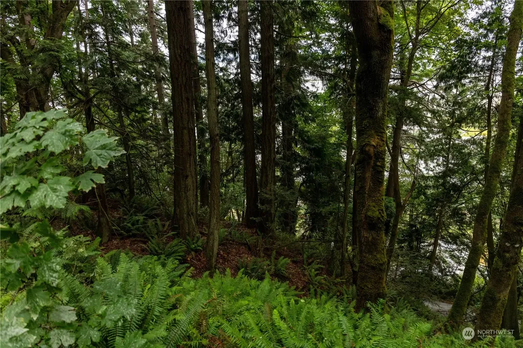 2190 Chuckanut Drive Bellingham WA 98232