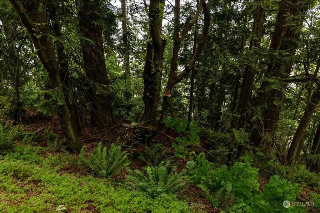 2190 Chuckanut Drive Bellingham WA 98232