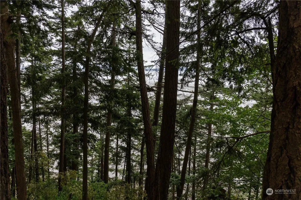 2190 Chuckanut Drive Bellingham WA 98232