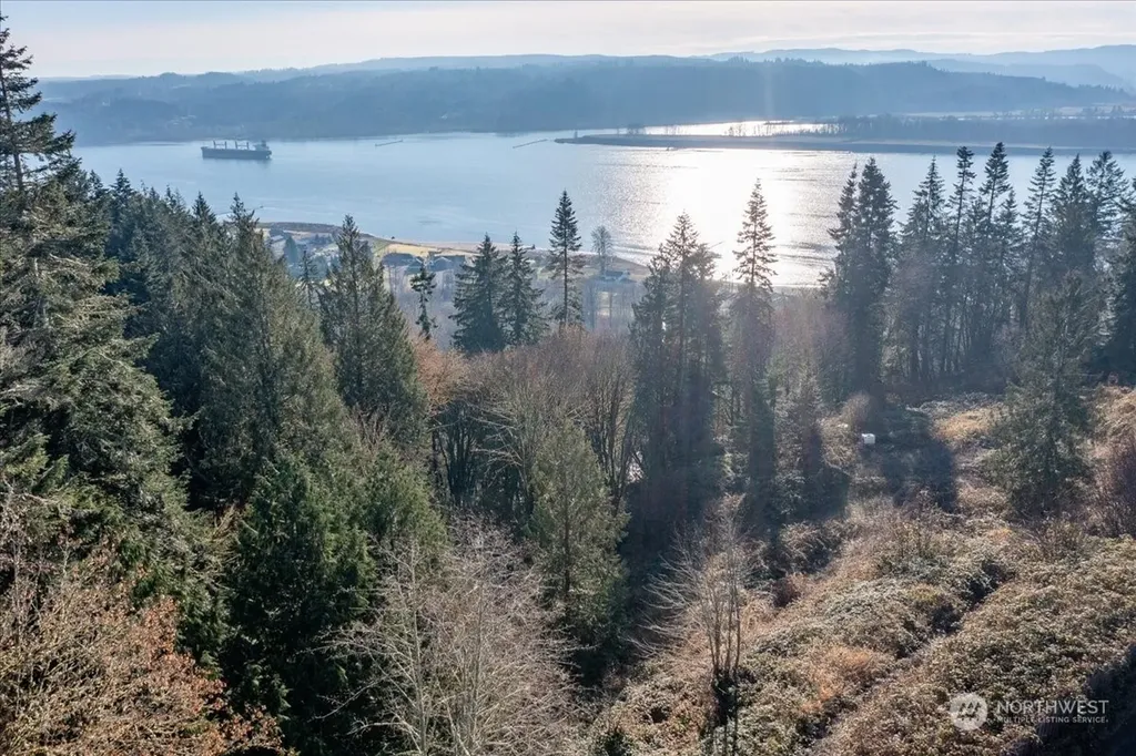 145 Newt Estates Road W Longview WA 98632