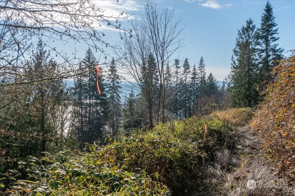 145 Newt Estates Road W Longview WA 98632