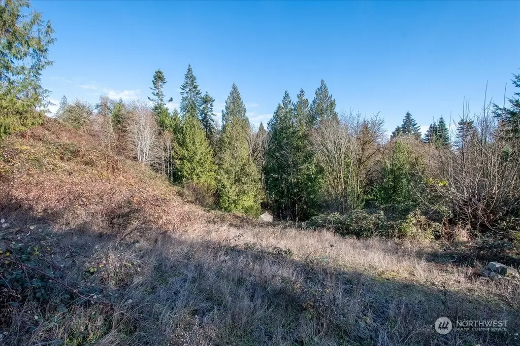 145 Newt Estates Road W Longview WA 98632
