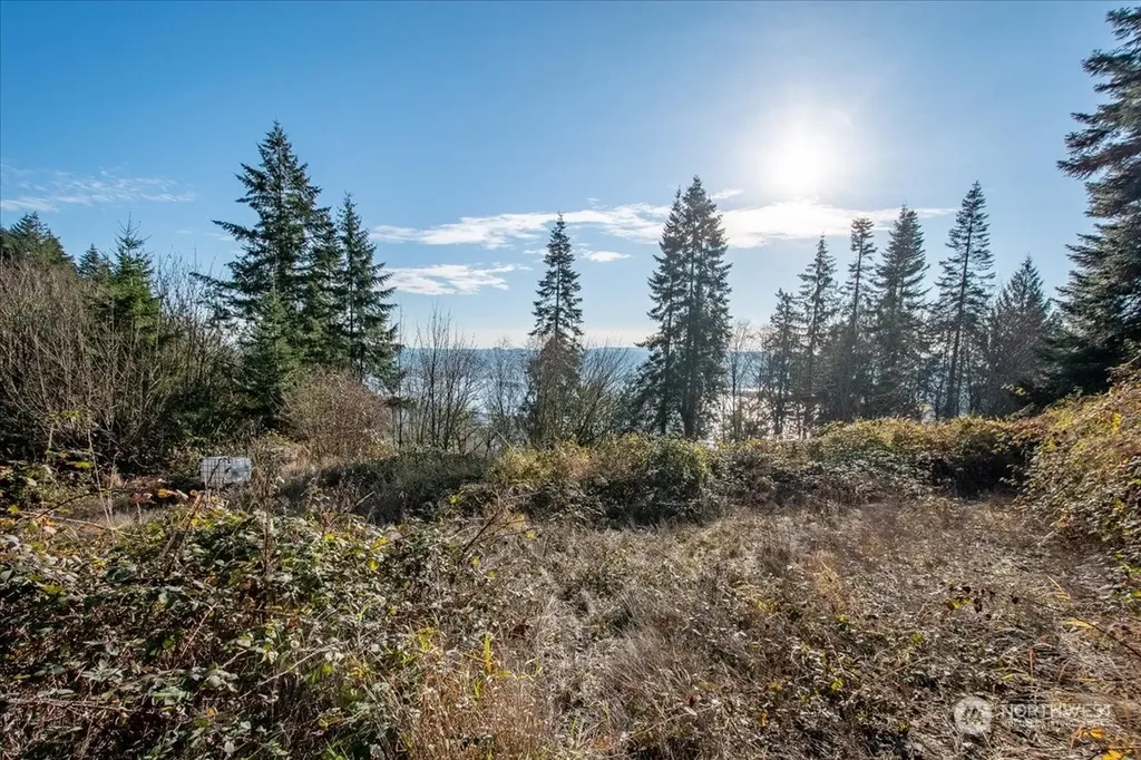 145 Newt Estates Road W Longview WA 98632
