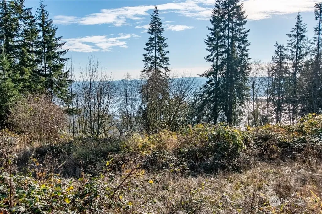 145 Newt Estates Road W Longview WA 98632
