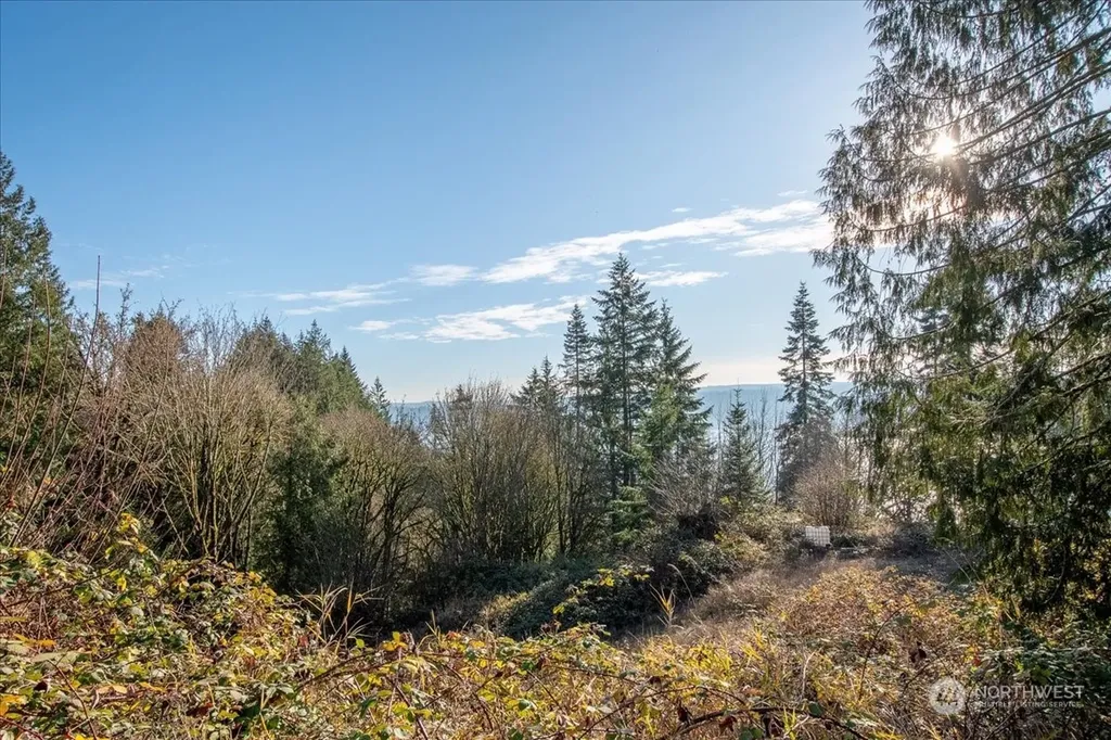 145 Newt Estates Road W Longview WA 98632