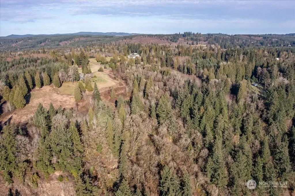 145 Newt Estates Road W Longview WA 98632