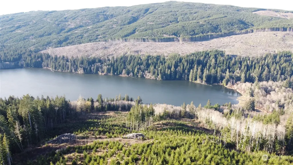 0 E Lake Pleasant Road Beaver WA 98305