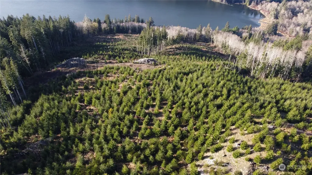 0 E Lake Pleasant Road Beaver WA 98305