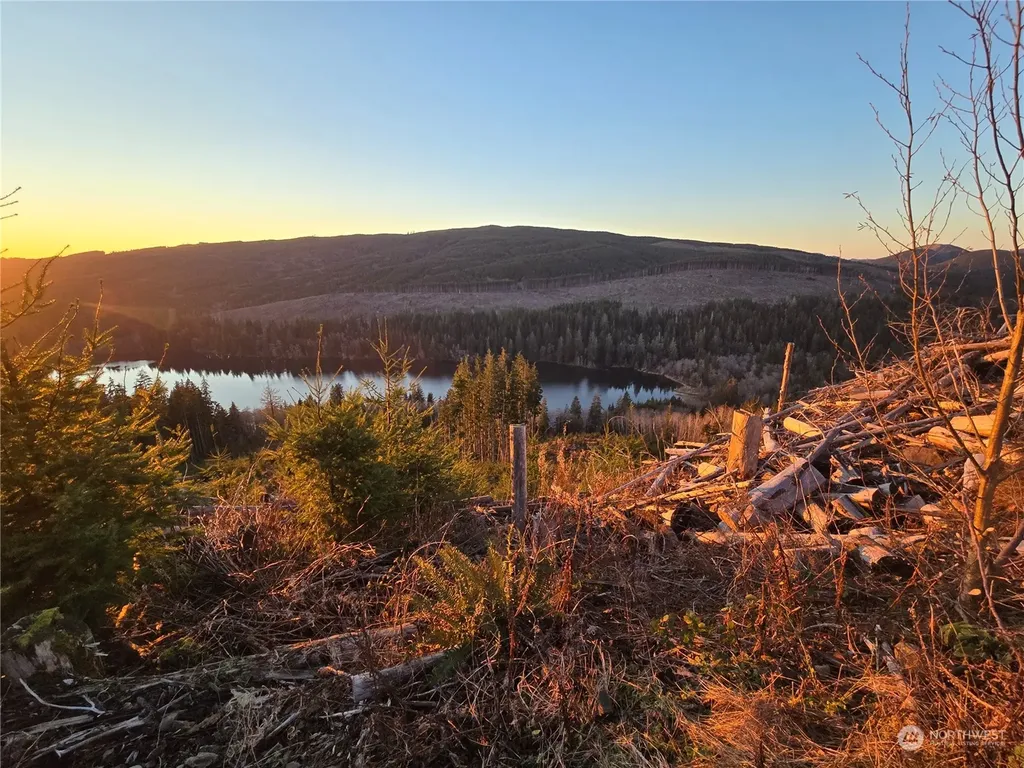 0 E Lake Pleasant Road Beaver WA 98305