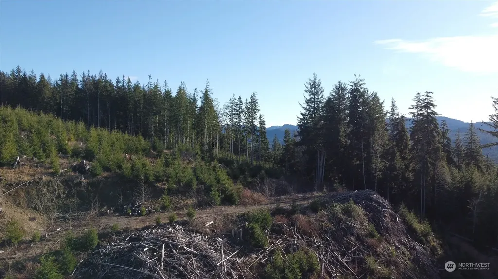 0 E Lake Pleasant Road Beaver WA 98305