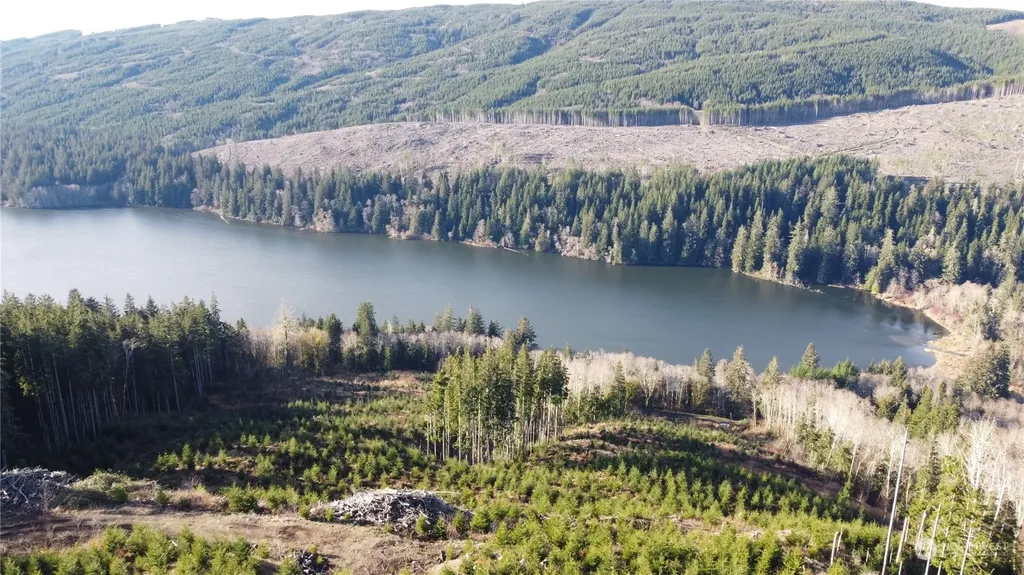 0 E Lake Pleasant Road Beaver WA 98305