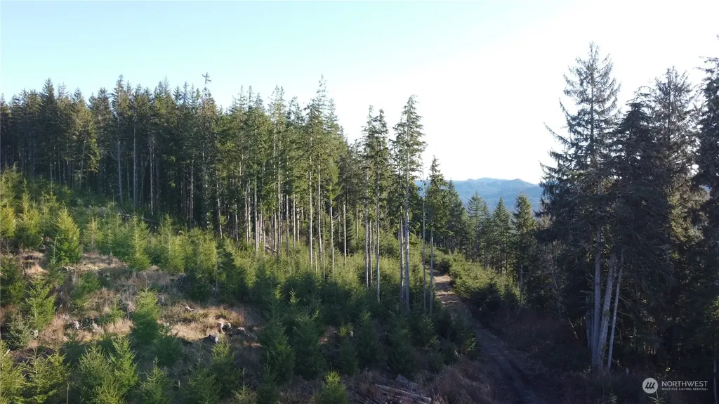 0 E Lake Pleasant Road Beaver WA 98305