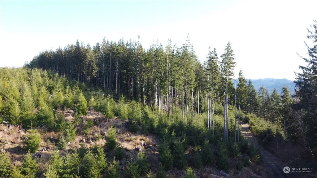 0 E Lake Pleasant Road Beaver WA 98305
