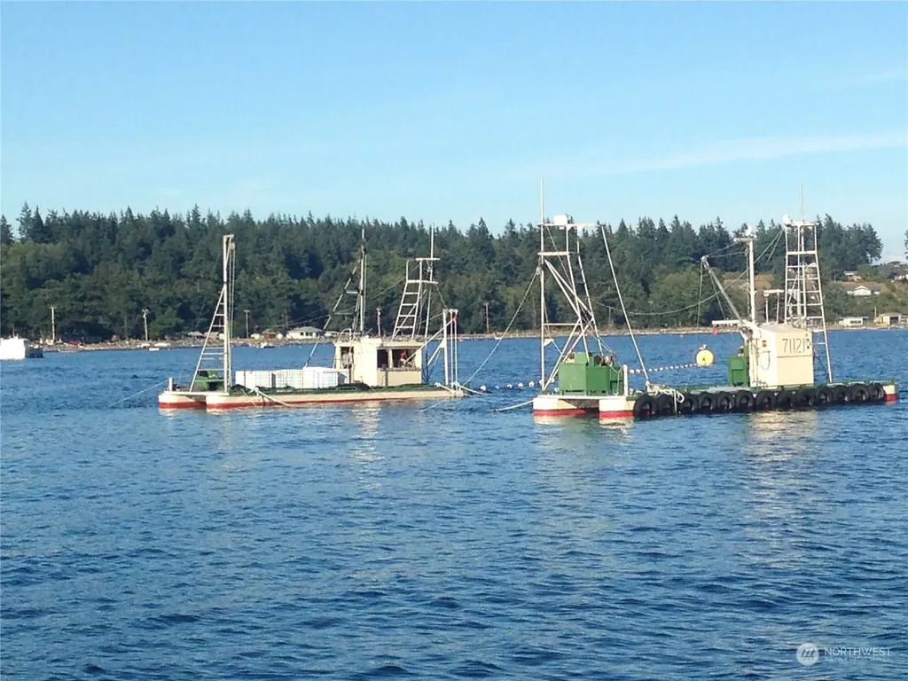2940 Cedar Avenue Lummi Island WA 98262
