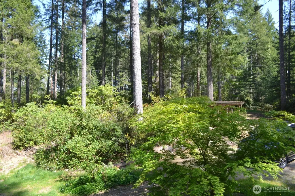 110 NE Collins Drive E Tahuya WA 98588