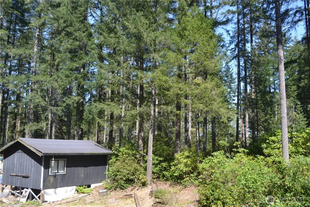 110 NE Collins Drive E Tahuya WA 98588