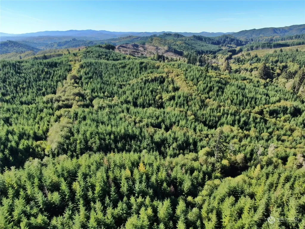 0 Butte Creek Road Raymond WA 98577