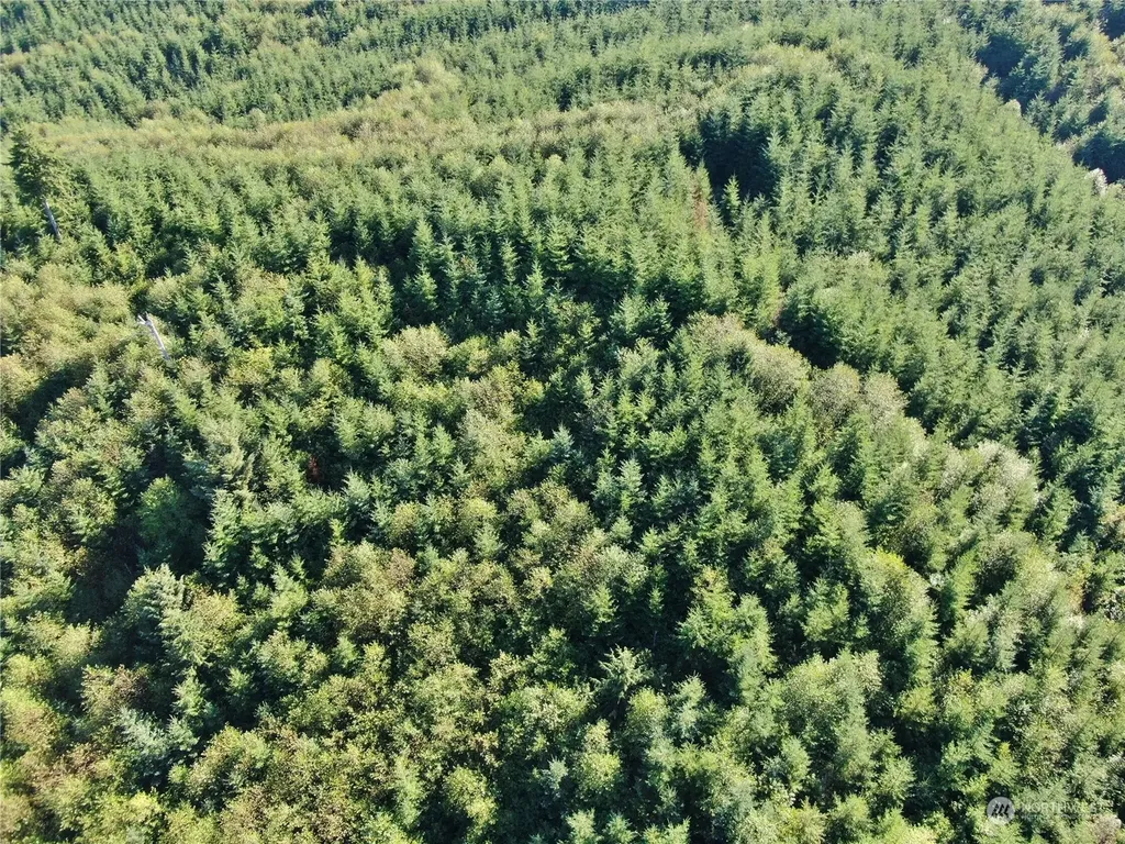 0 Butte Creek Road Raymond WA 98577