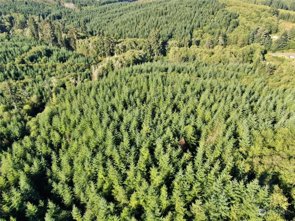 0 Butte Creek Road Raymond WA 98577