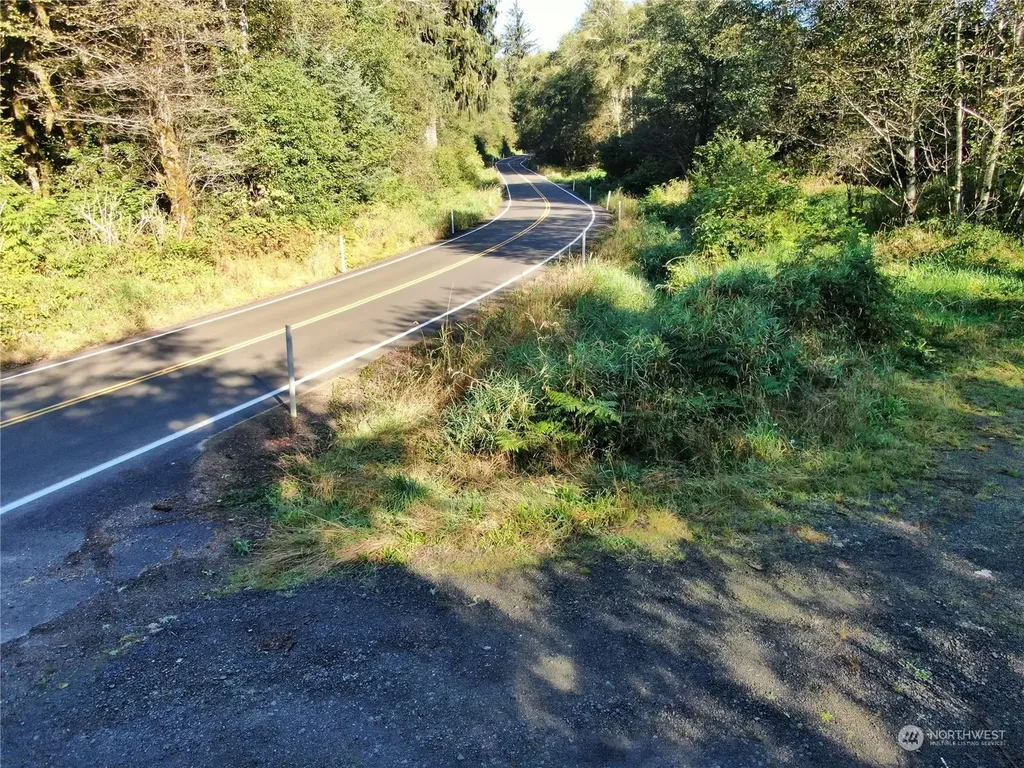 0 Butte Creek Road Raymond WA 98577
