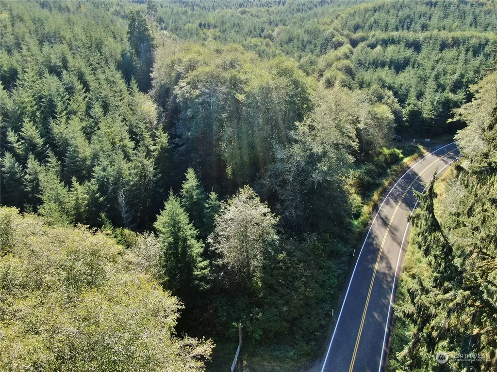 0 Butte Creek Road Raymond WA 98577