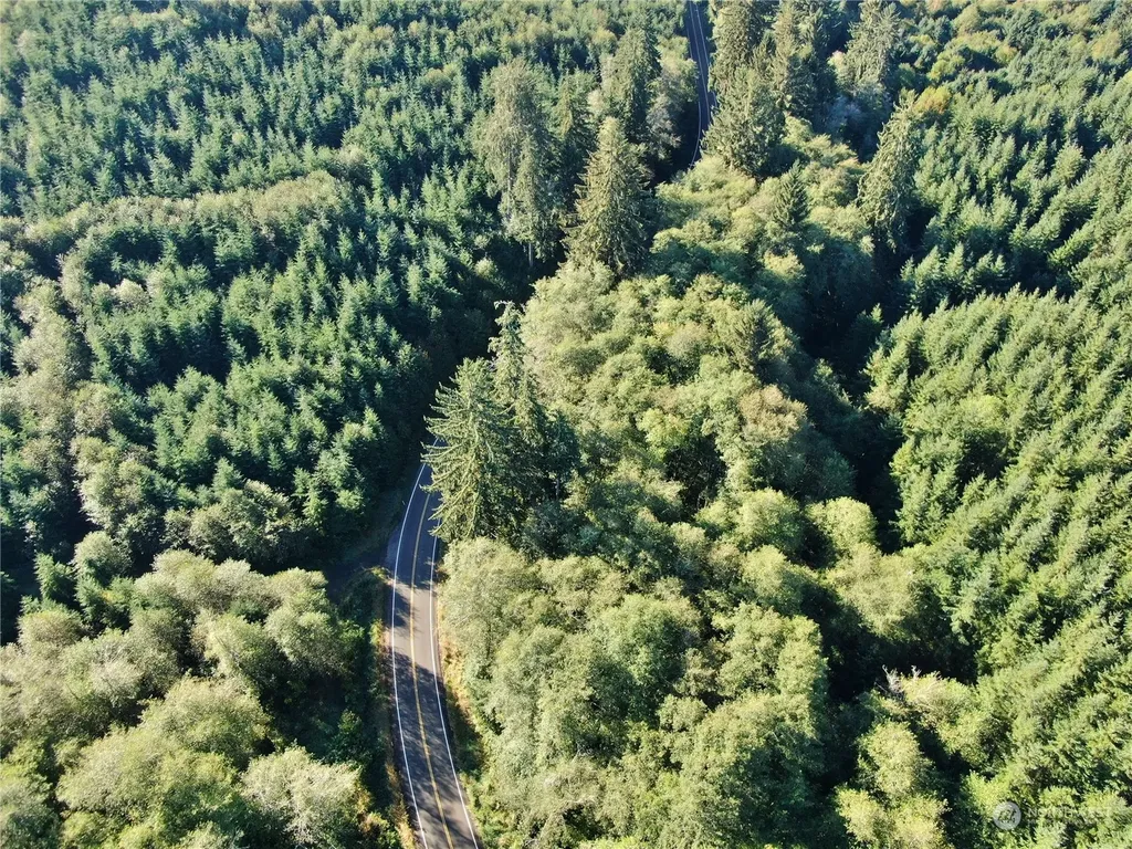 0 Butte Creek Road Raymond WA 98577
