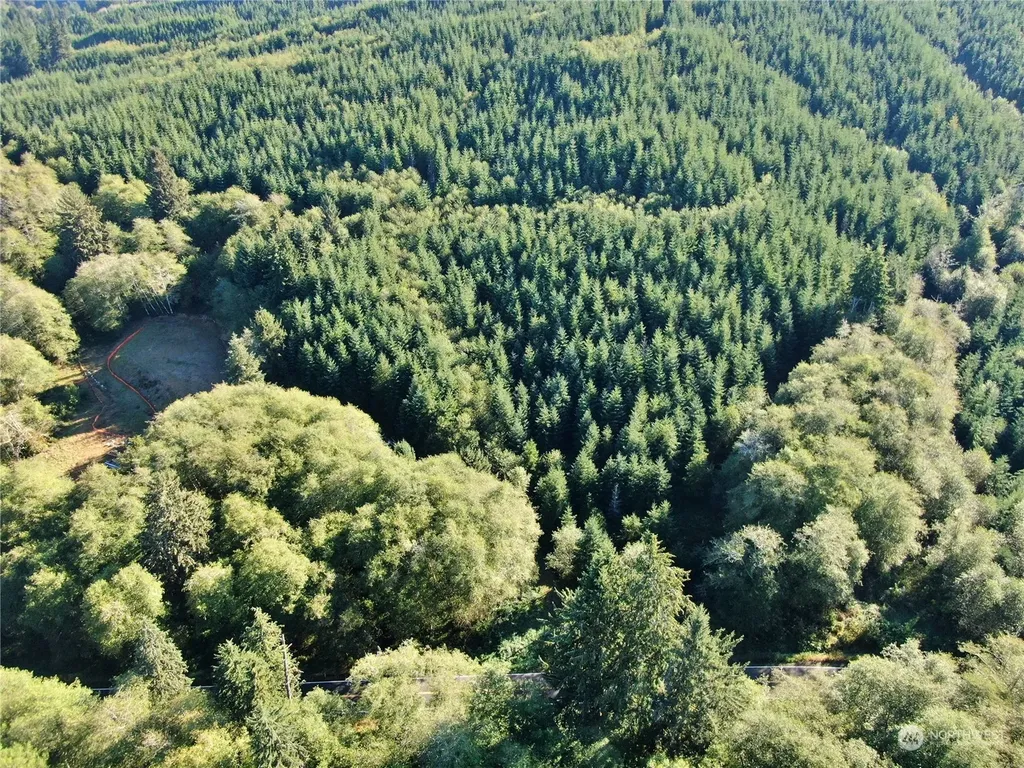 0 Butte Creek Road Raymond WA 98577