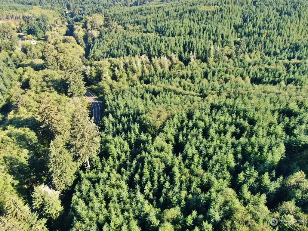 0 Butte Creek Road Raymond WA 98577