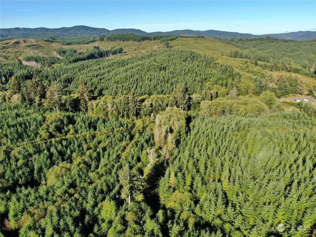 0 Butte Creek Road Raymond WA 98577