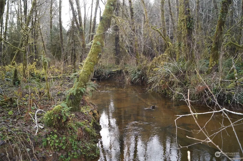0 Butte Creek Road Raymond WA 98577