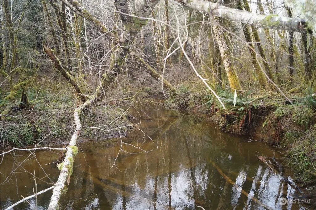 0 Butte Creek Road Raymond WA 98577