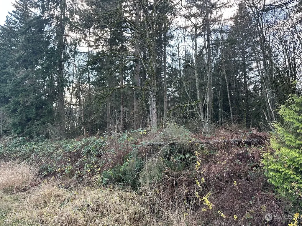 8300 Sr9 Marysville WA 98270