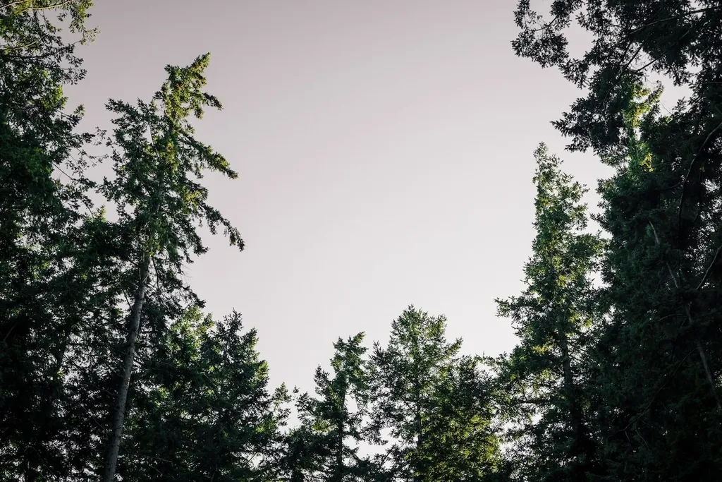 291 Arbel Way Bellingham WA 98229