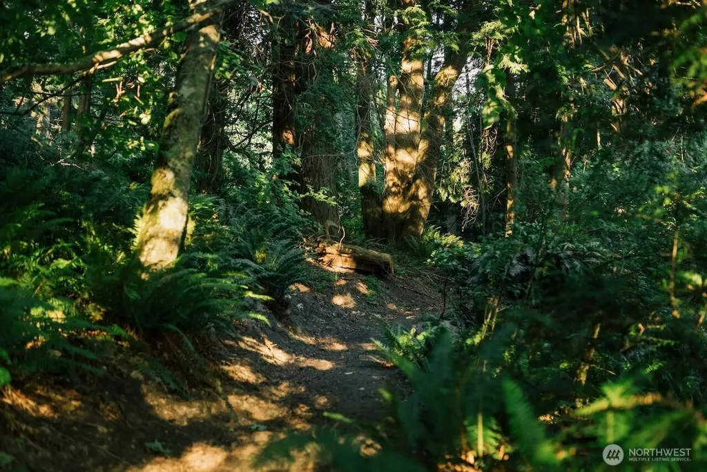 251 Arbel Way Bellingham WA 98229