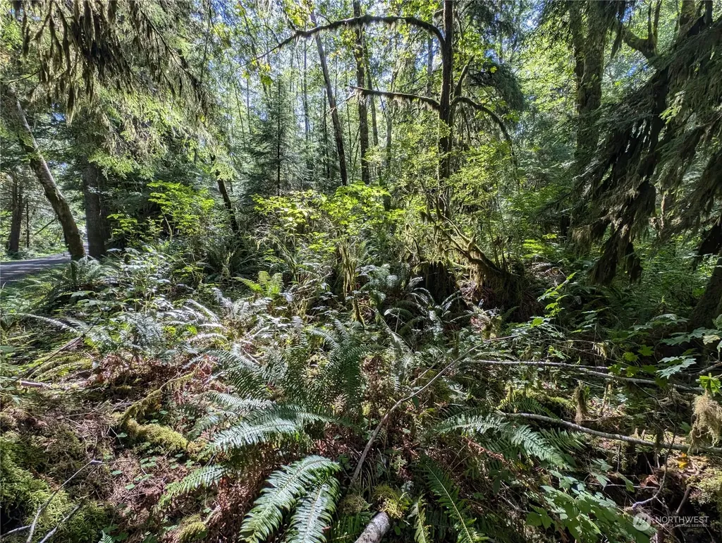 99992 Dowans Creek Road Forks WA 98331