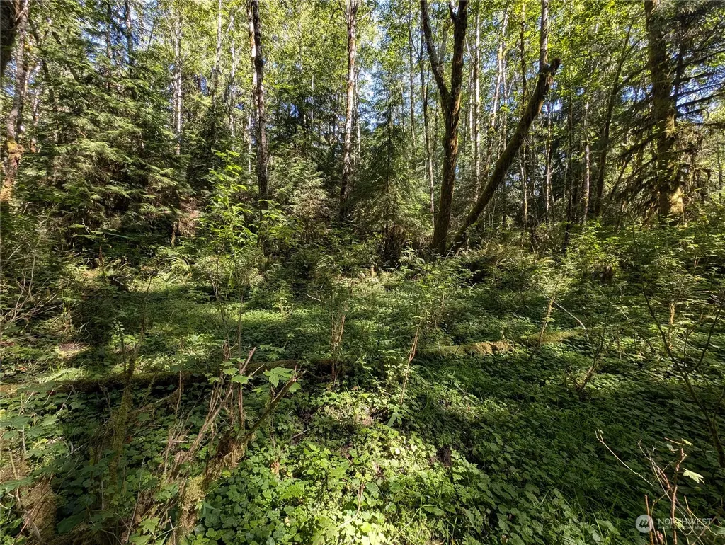 99992 Dowans Creek Road Forks WA 98331
