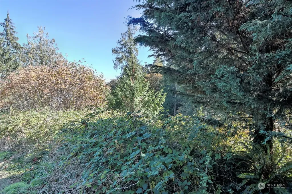 14801 13 Avenue Ct NW Gig Harbor WA 98332