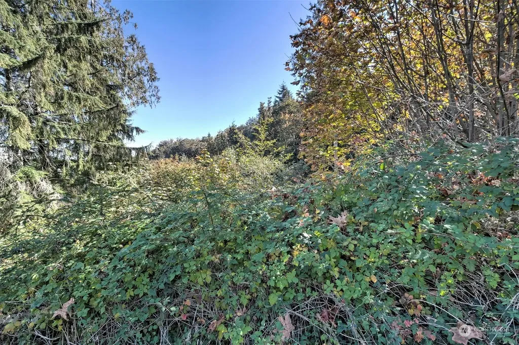 14801 13 Avenue Ct NW Gig Harbor WA 98332