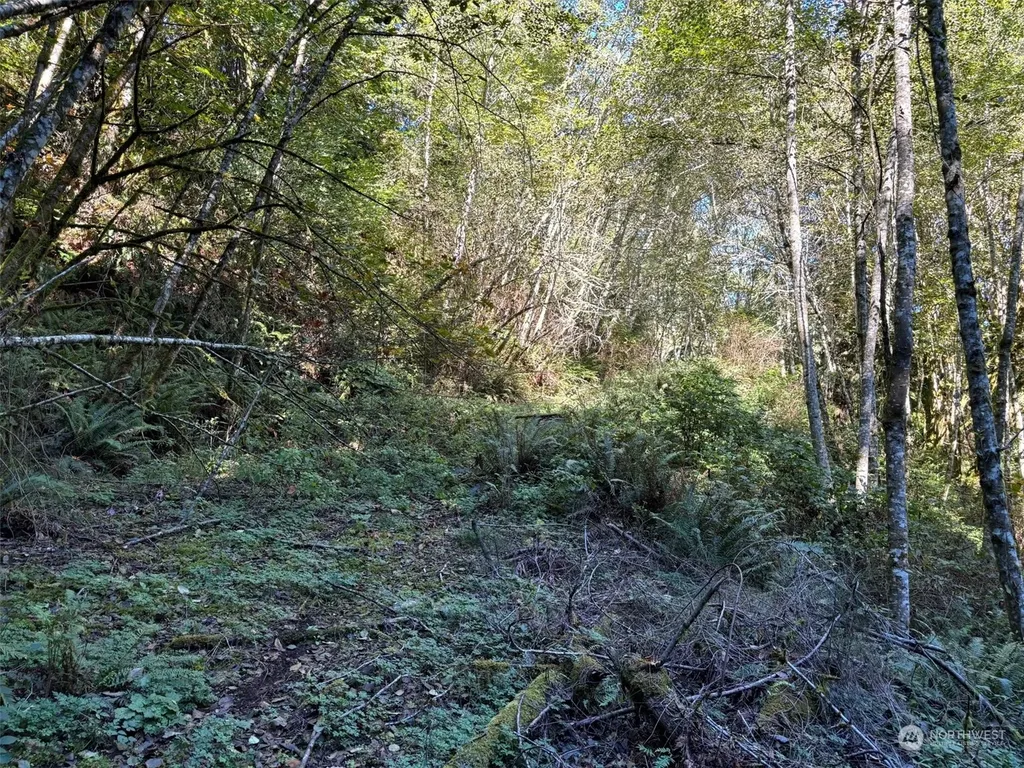14801 13 Avenue Ct NW Gig Harbor WA 98332