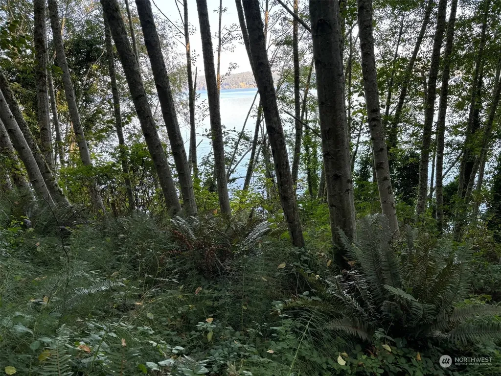 14801 13 Avenue Ct NW Gig Harbor WA 98332