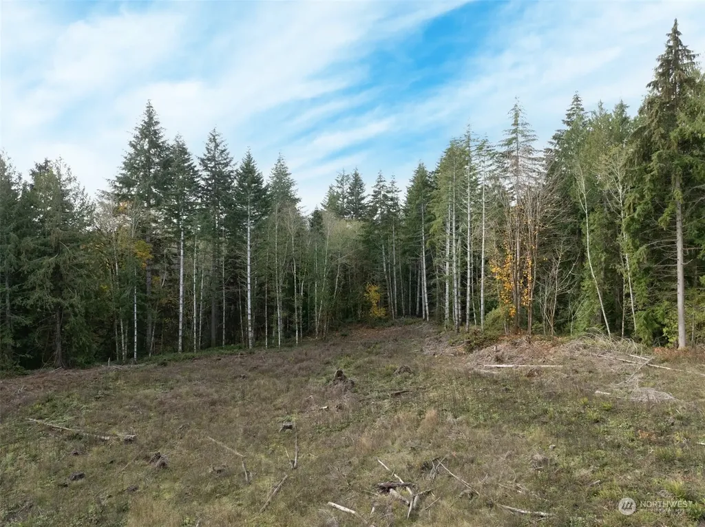 0 E Strong Road Shelton WA 98584