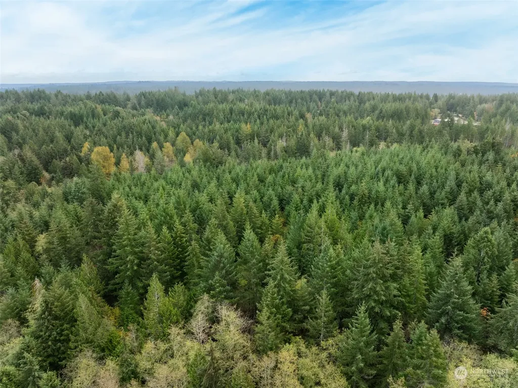 0 E Strong Road Shelton WA 98584