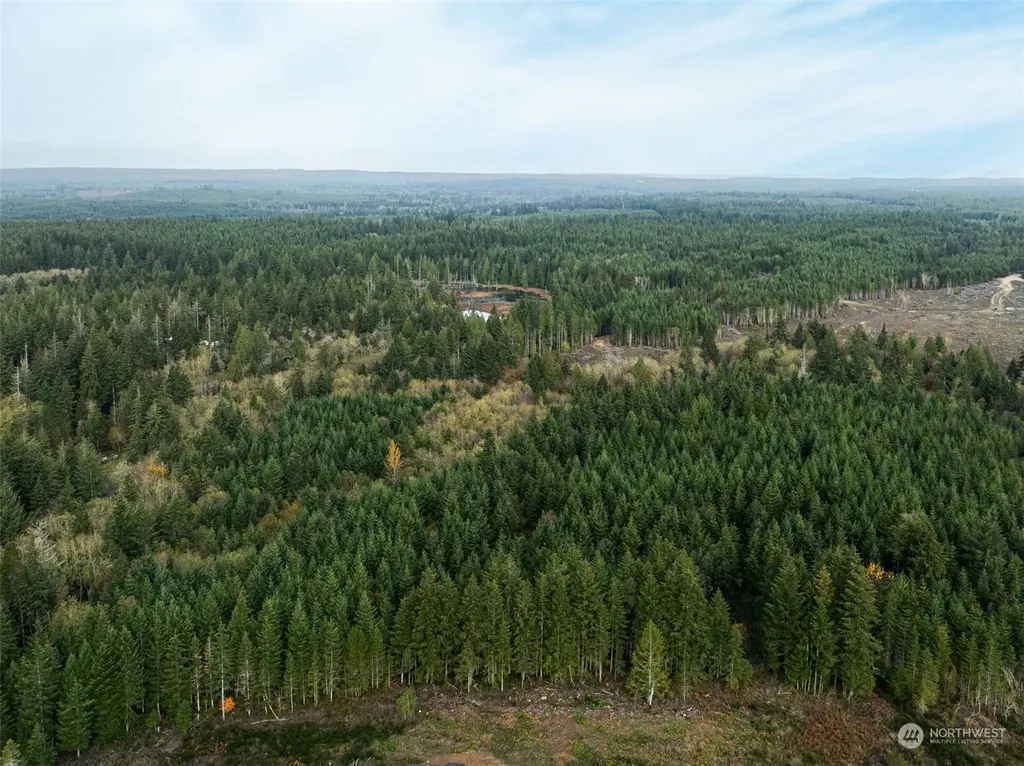 0 E Strong Road Shelton WA 98584