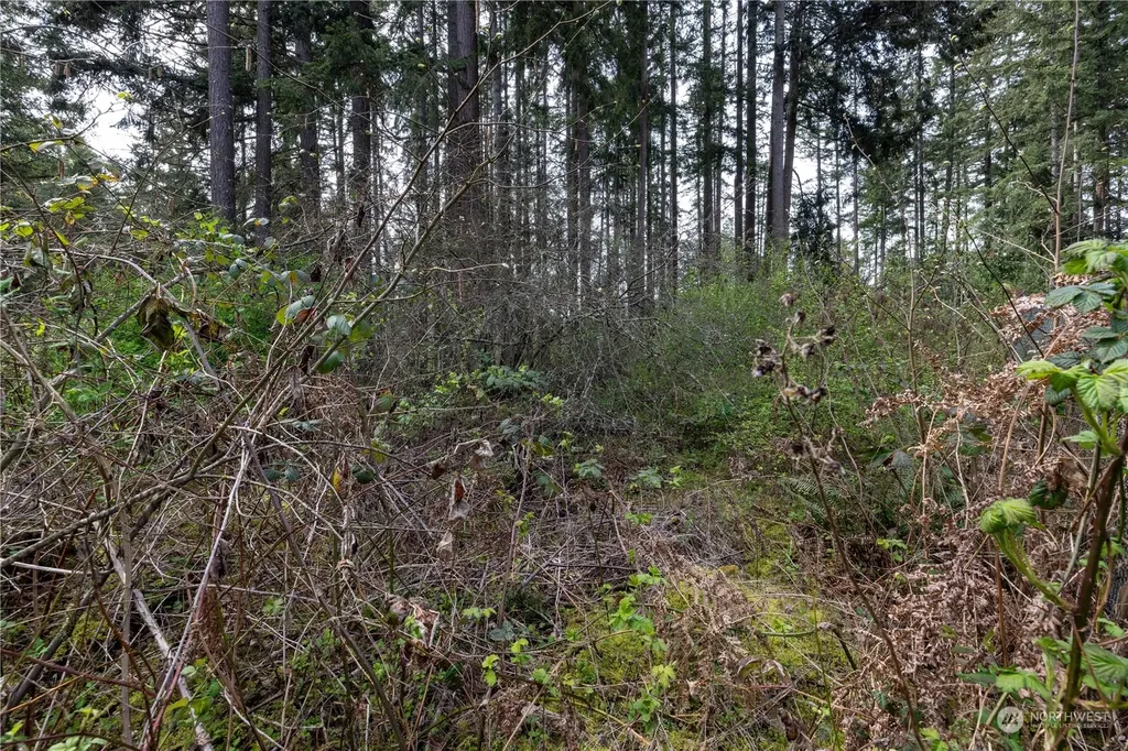 0 95th Avenue Ct E Graham WA 98338