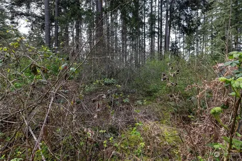 0 95th Avenue Ct E Graham WA 98338