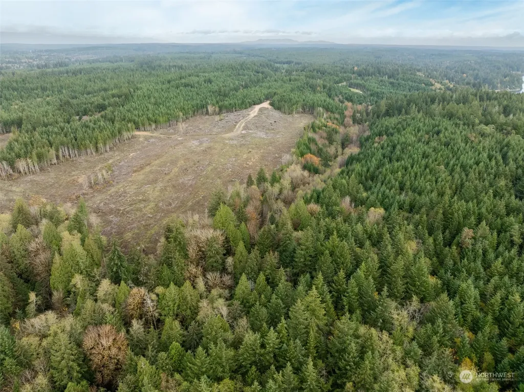 0 E Cottonwood Drive Shelton WA 98584